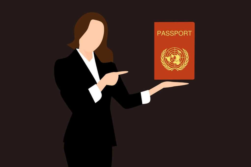 הנפקת דרכון זר לבעלי רקורד פלילי